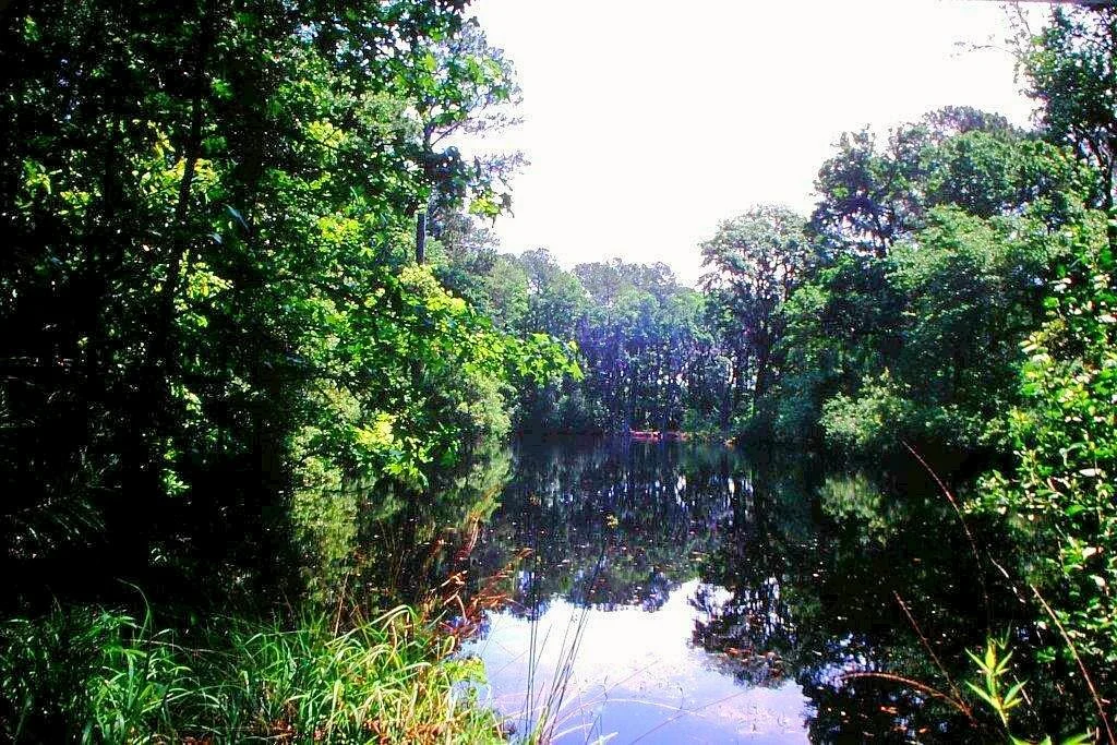 Audubon Newhall Preserve