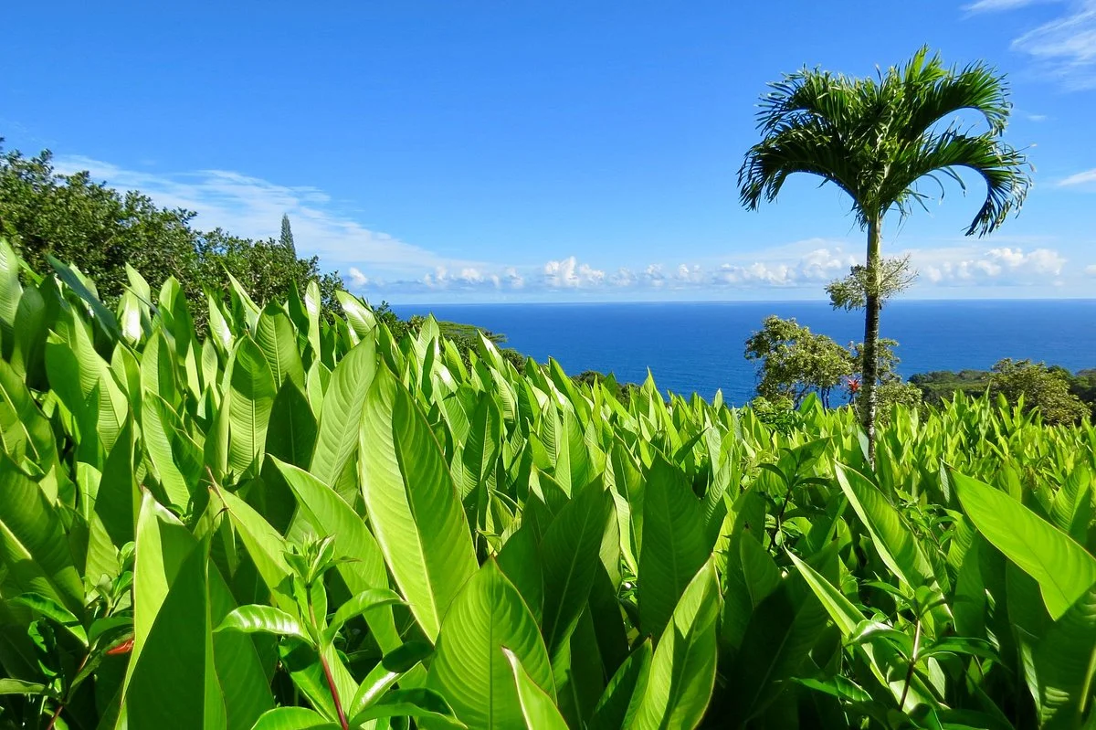 Garden of Eden Arboretum & Botanical Garden