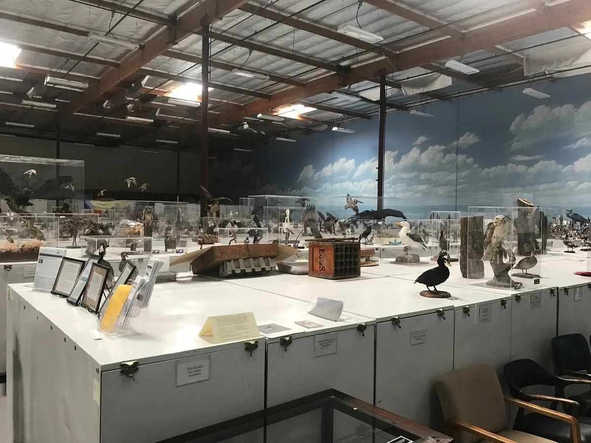 The Western Foundation of Vertebrate Zoology