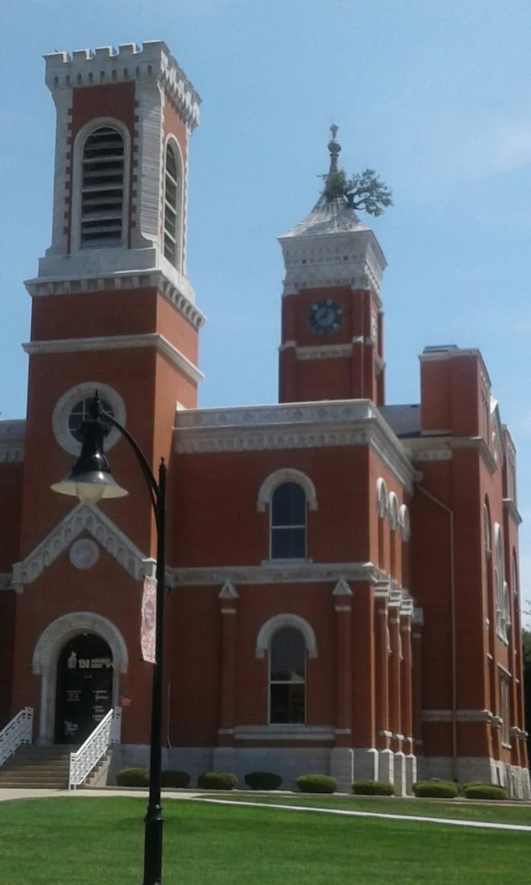 Courthouse Tree