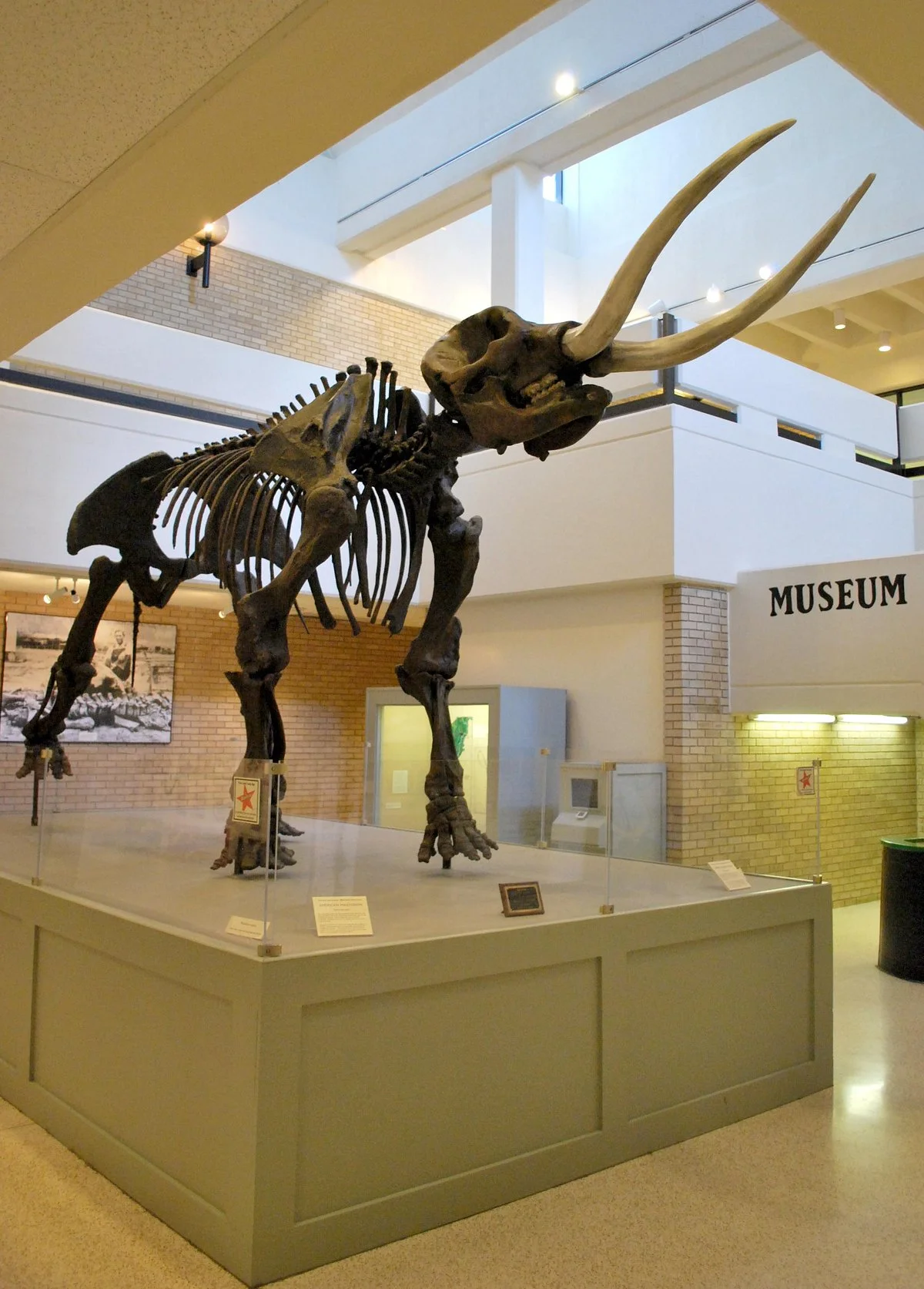 ASU Museum