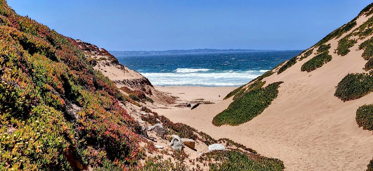 Fort Ord Dunes State Park