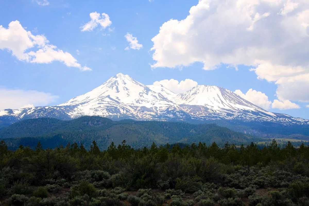 Shasta-Trinity National Forest