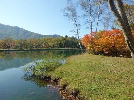 Sasagamine Farm