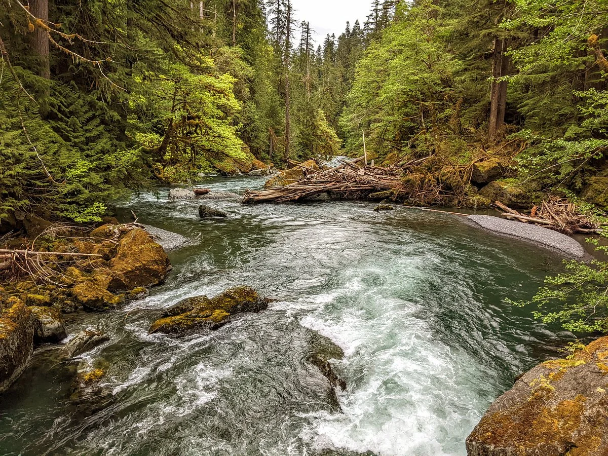 Staircase Rapids Nature Trail