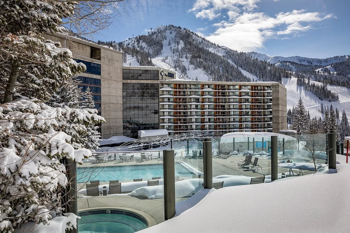 Snowbird