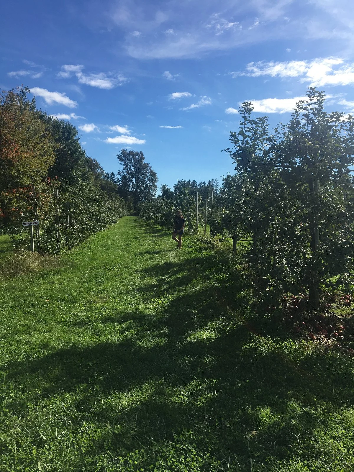 Beardsley's Cider Mill & Orchard