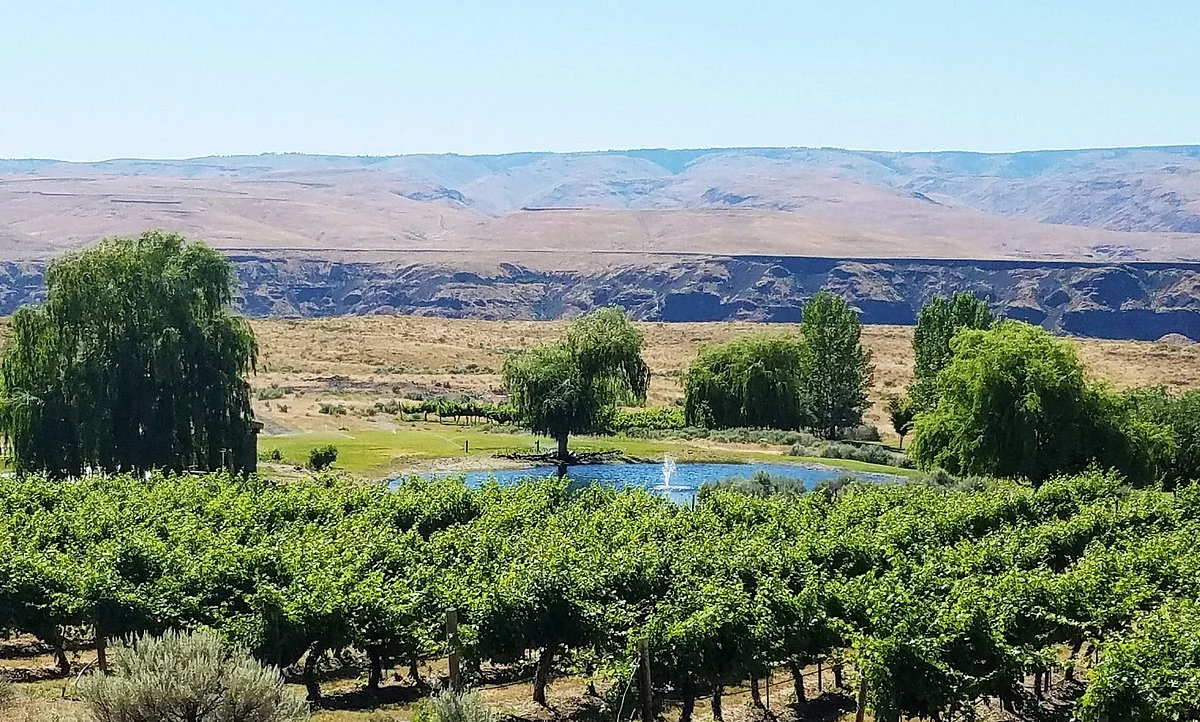 Cave B Estate Winery Quincy Tasting Room