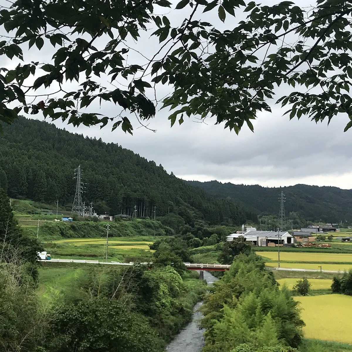 Michi-no-Eki Satomi