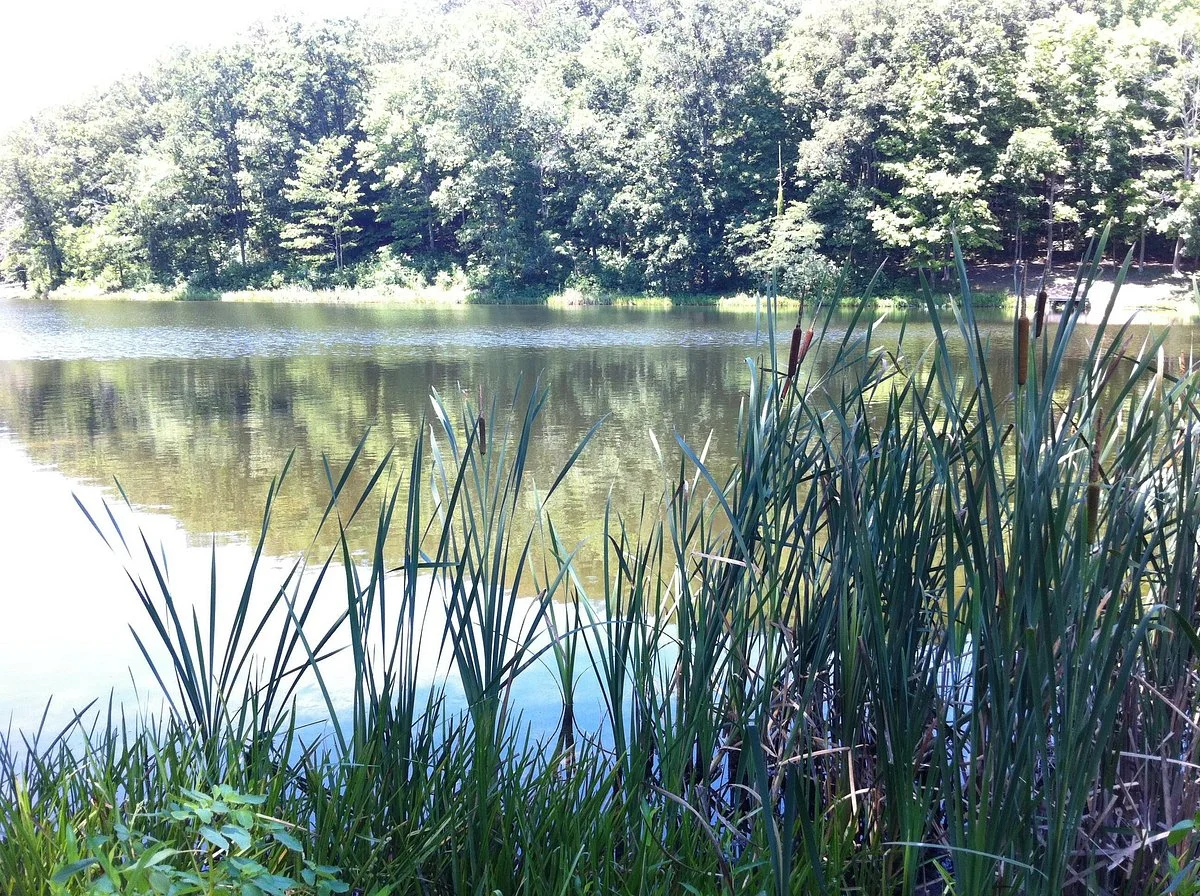Great Seal State Park