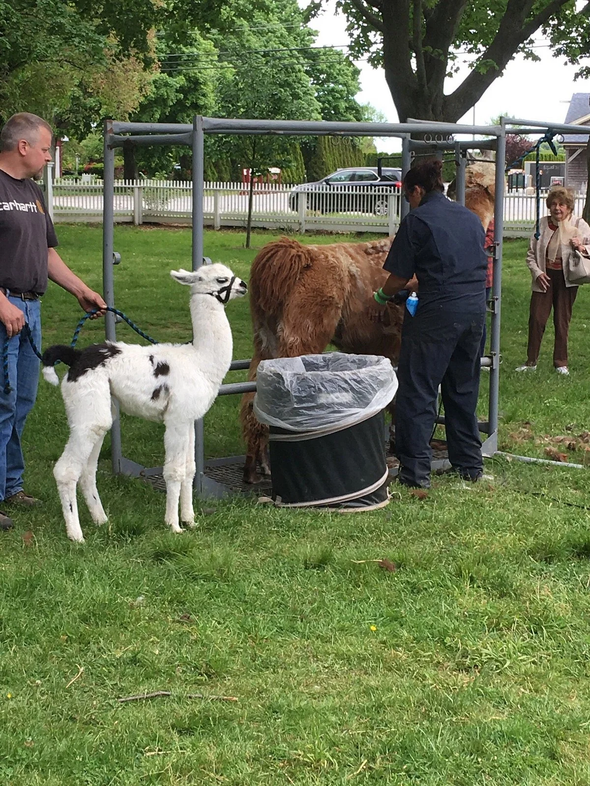 Hallockville Museum Farm