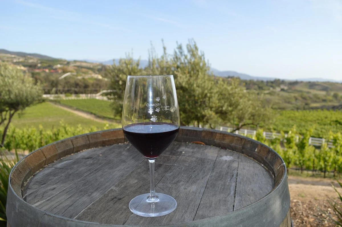 Cougar Vineyard & Winery