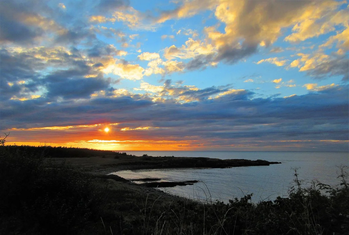 Brier Island
