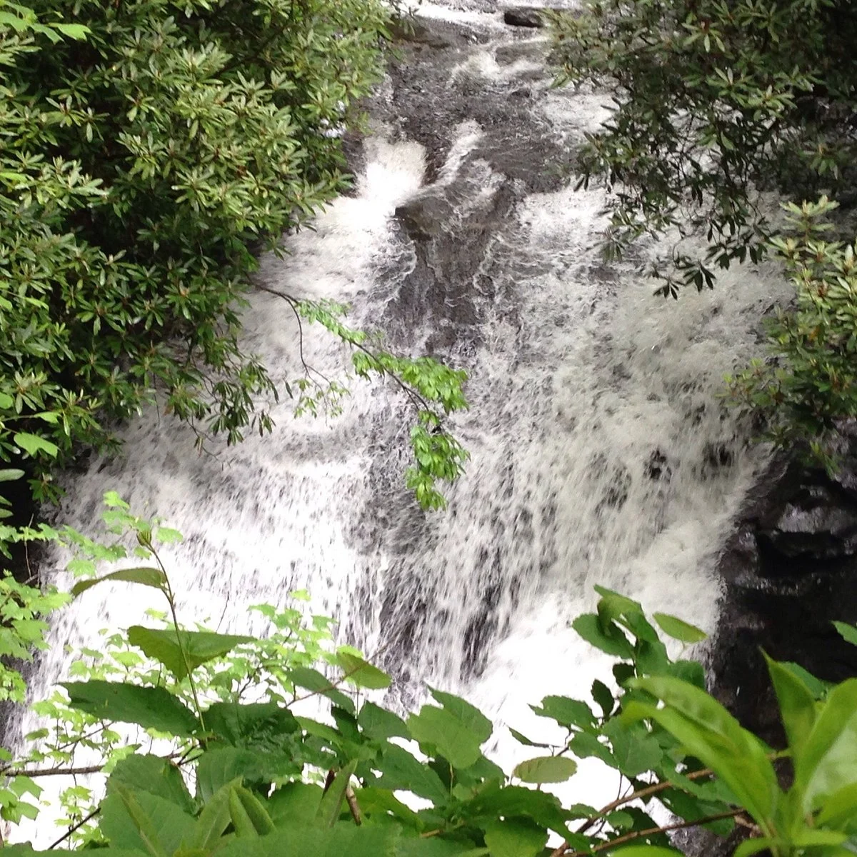 Sea Creek Falls
