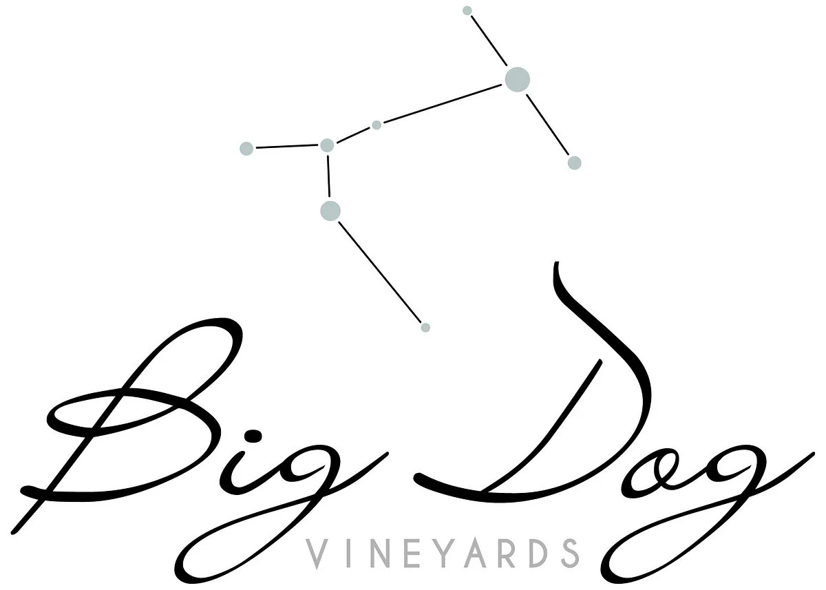 Big Dog Vineyards