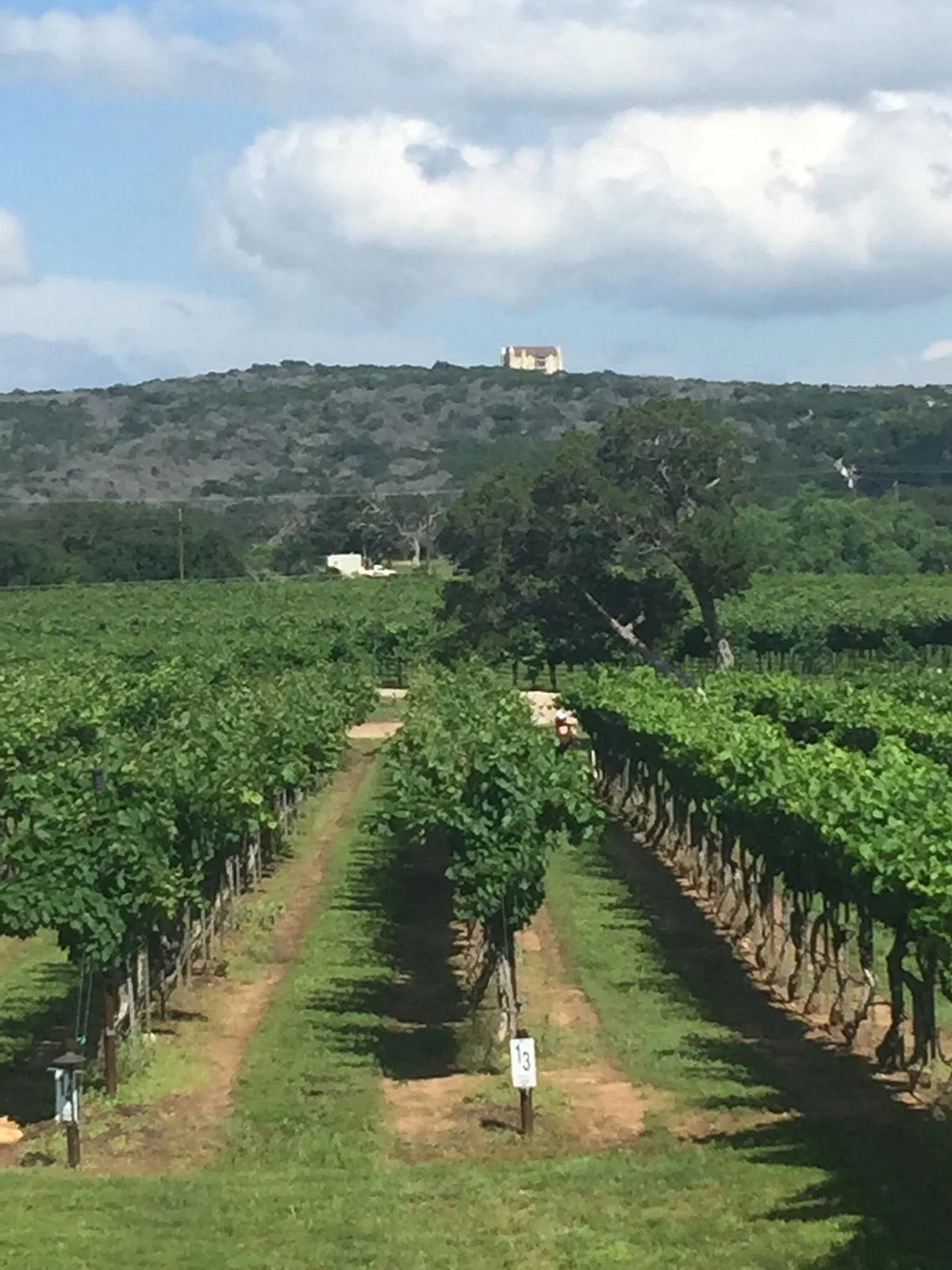 Perissos Vineyards