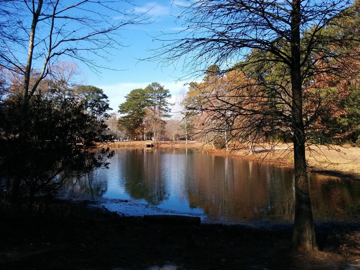 Pocomoke River State Park