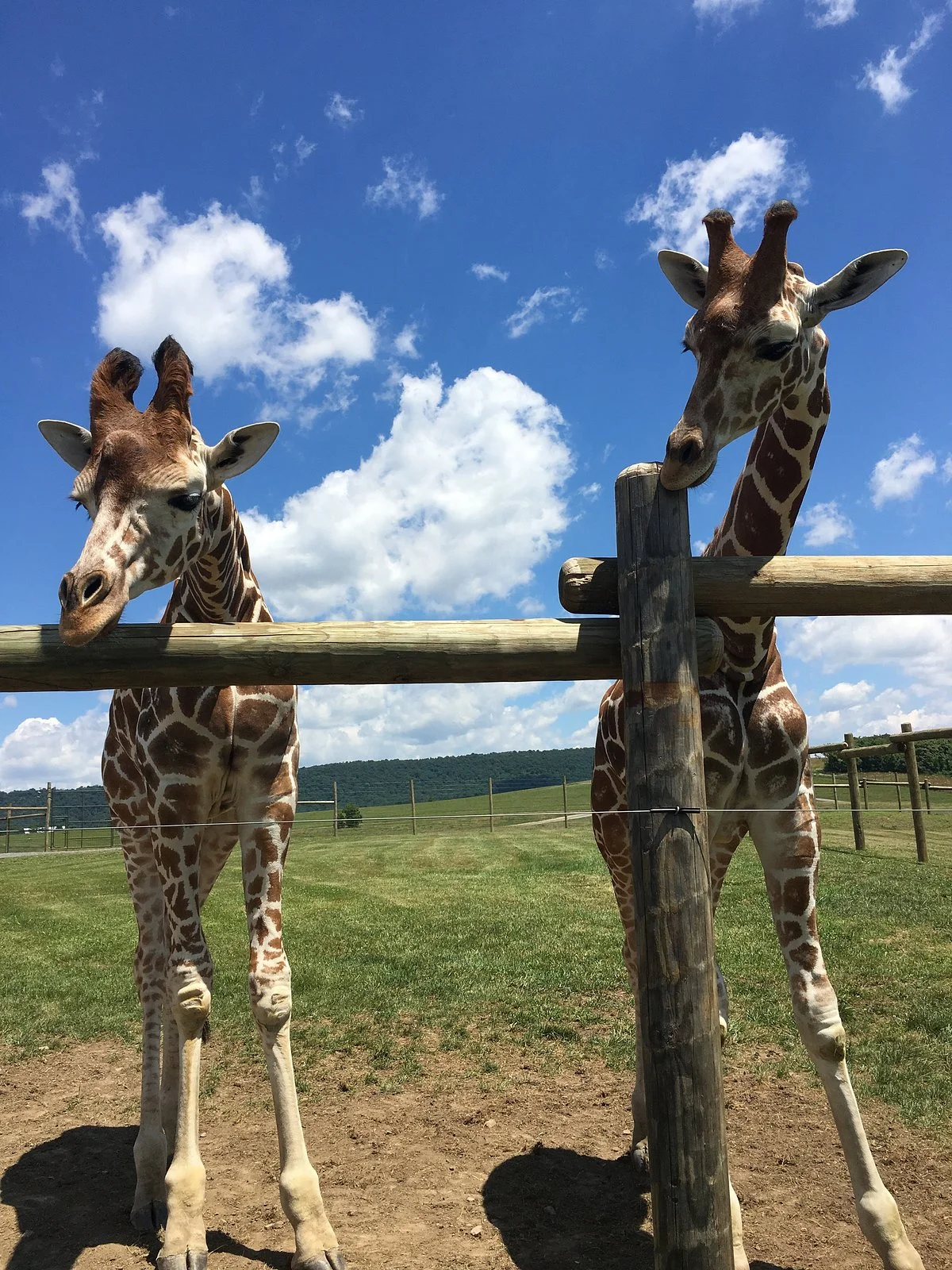 Lake Tobias Wildlife Park