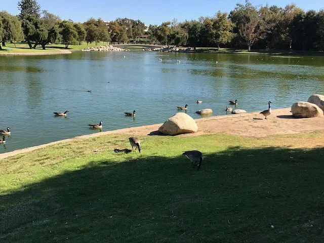 William R Mason Regional Park