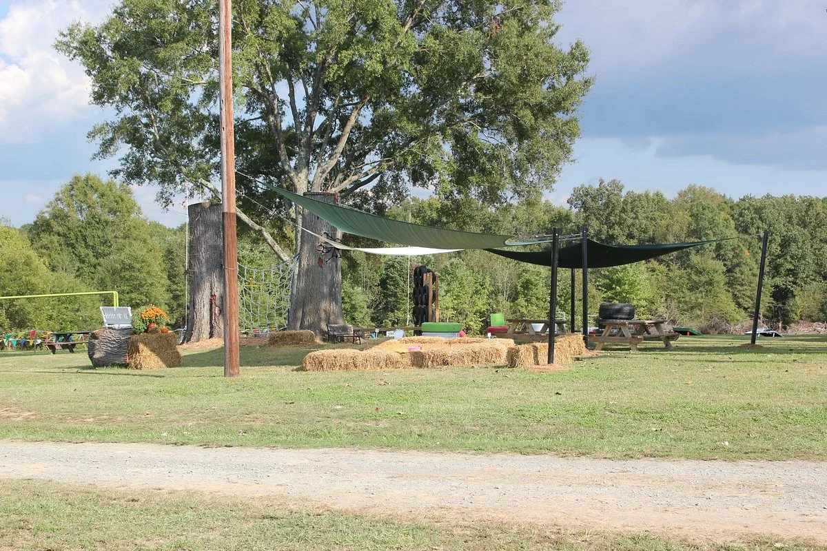 Wise Acres Organic Strawberry Farm
