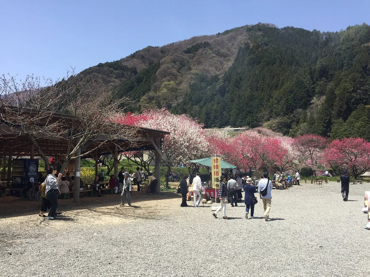 Sonohara Village