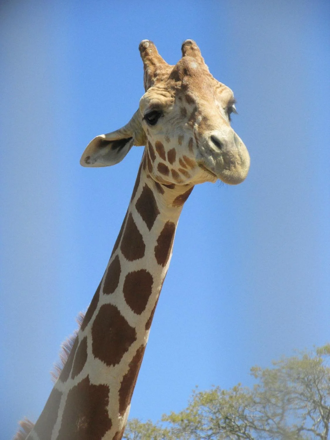 Bayou Wildlife Zoo