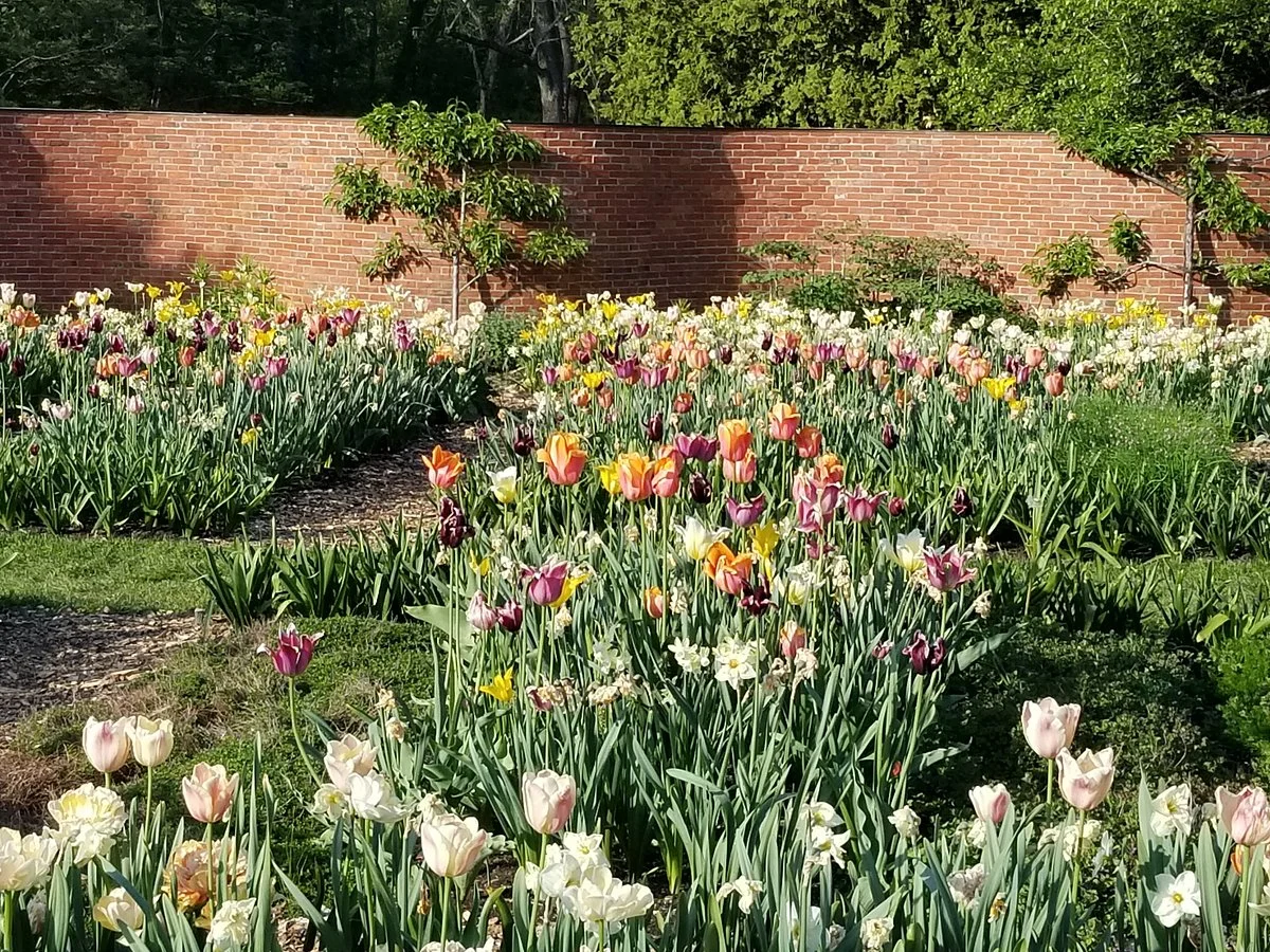 The Stevens-Coolidge Place
