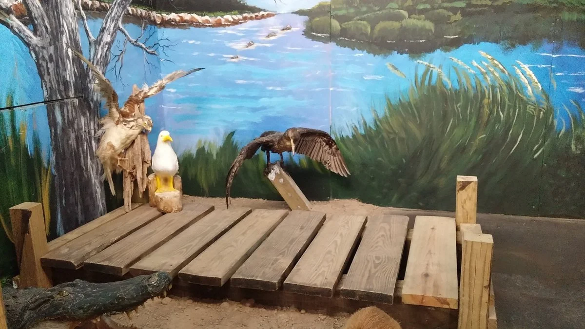 Eddie V. Gray Wetlands Center
