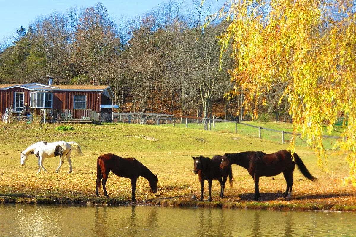 Catskill Animal Sanctuary