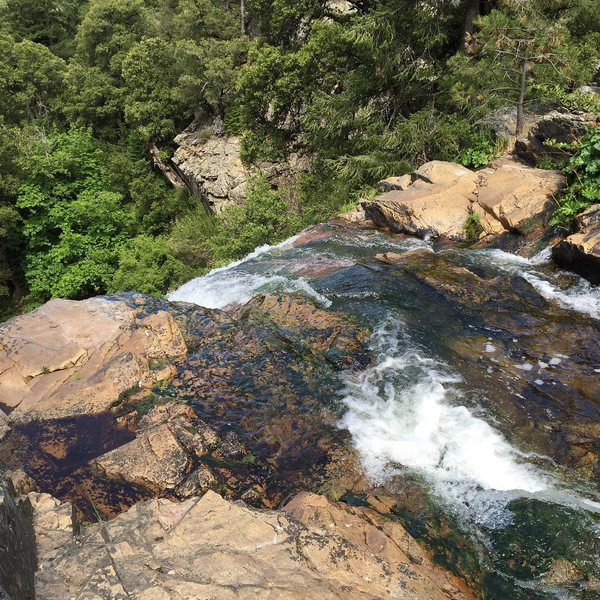 Arnold Rim Trail