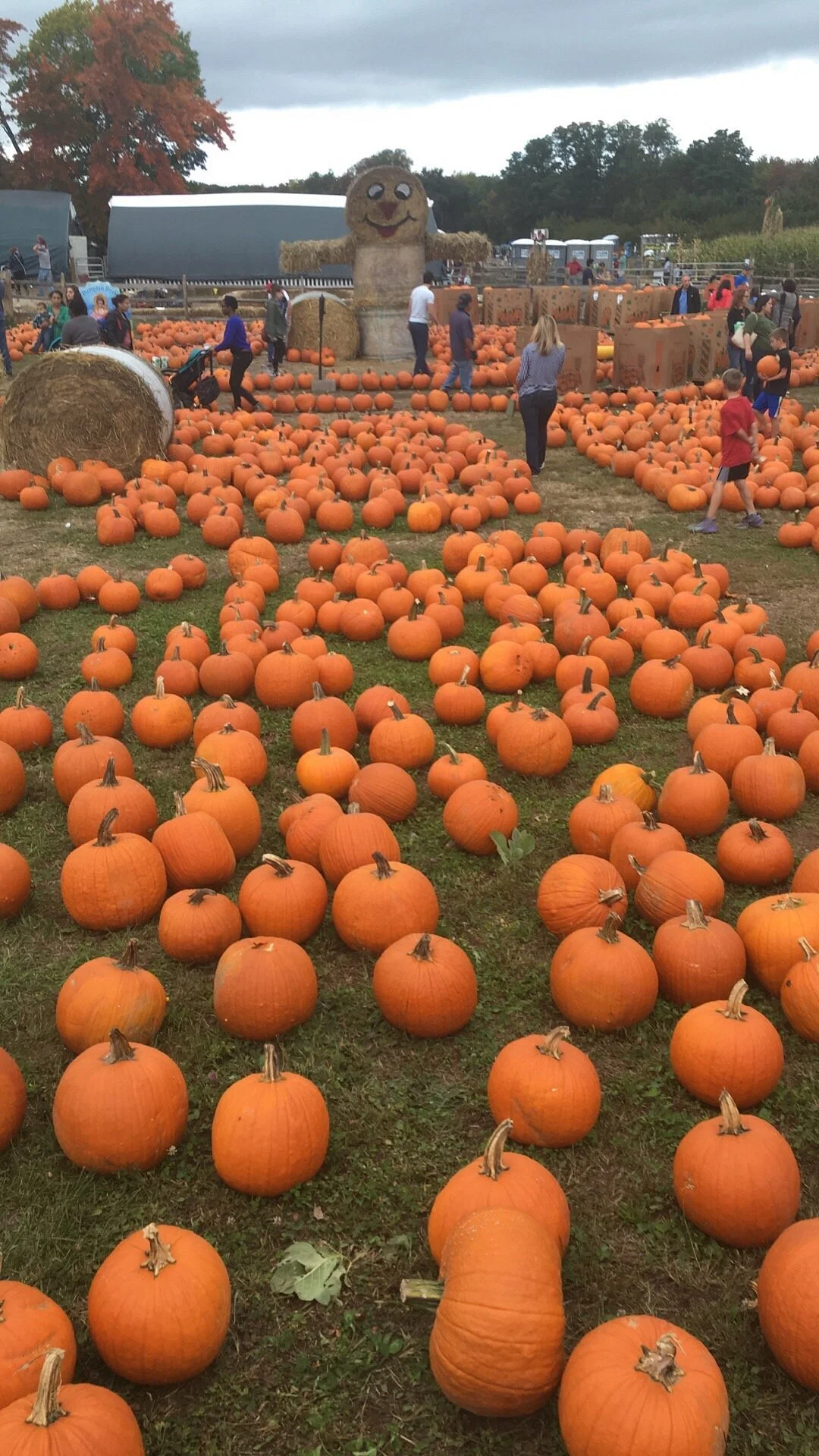 Connors Farm