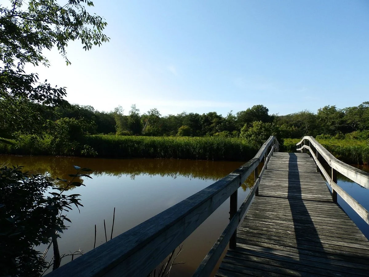 Daniel Webster Wildlife Sanctuary