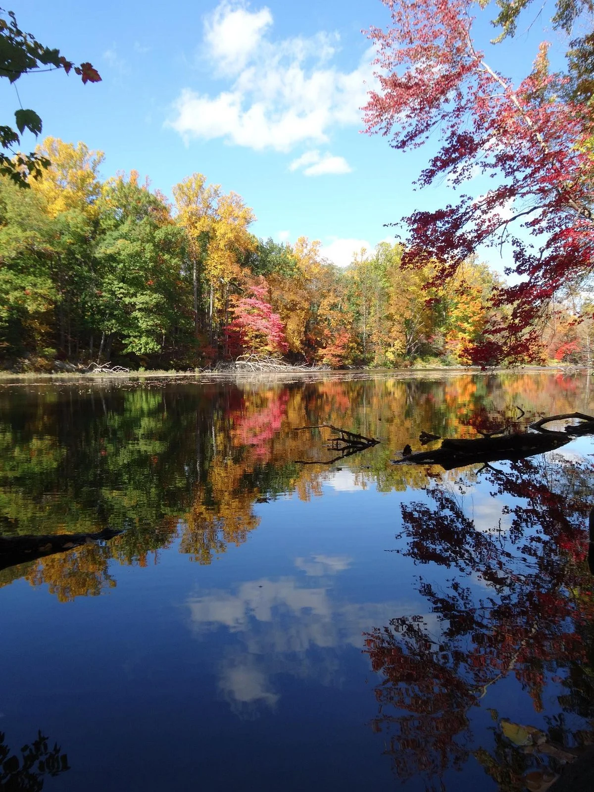 Black River County Park