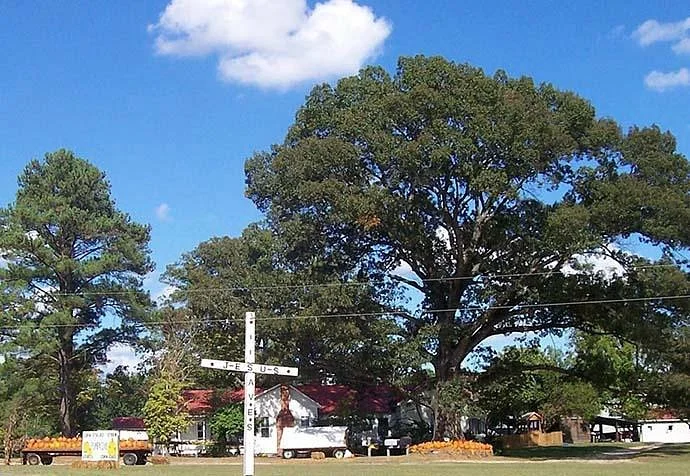 Gillis Hill Farm