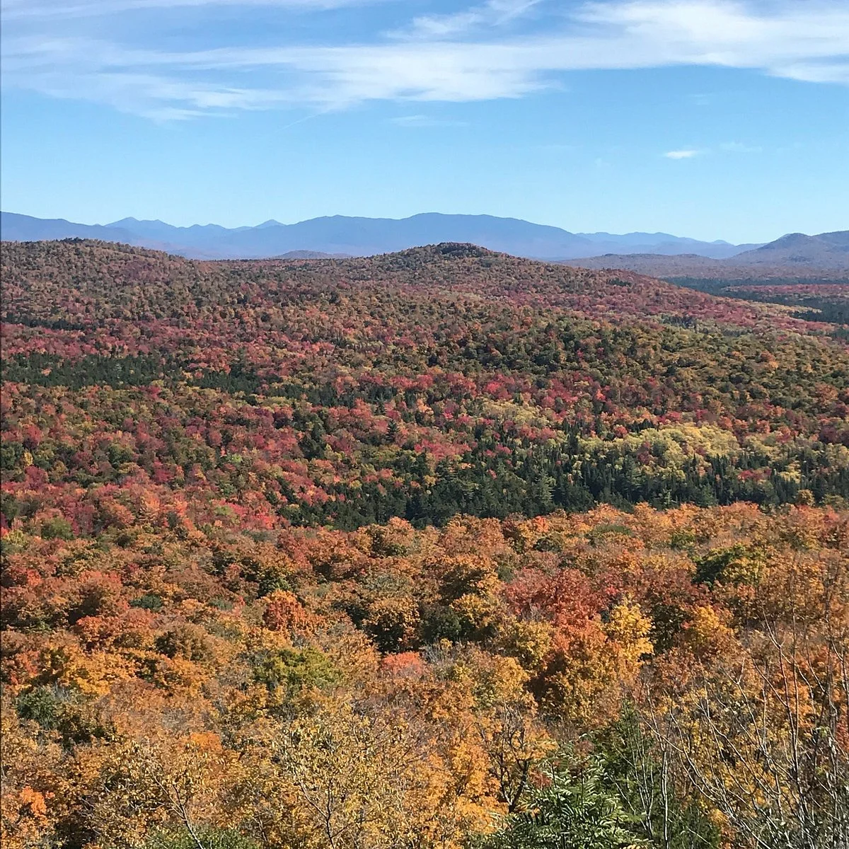 Coney Mountain Trail
