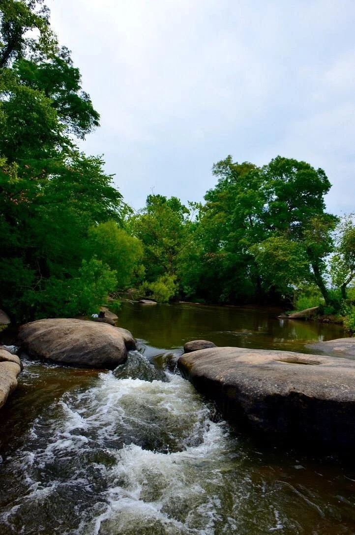 Pony Pasture Park (James River Park System)