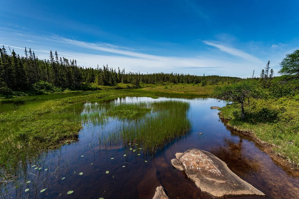 Terra Nova National Park