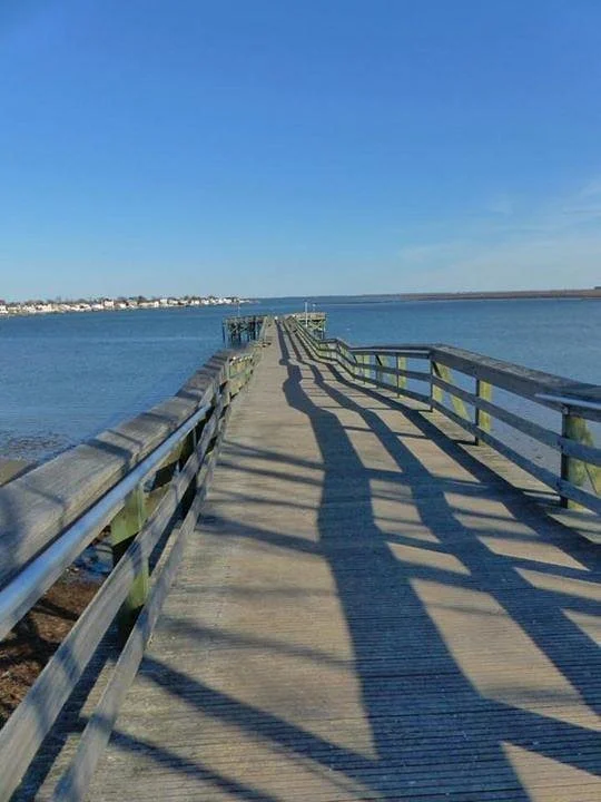 Norman J. Levy Park & Preserve