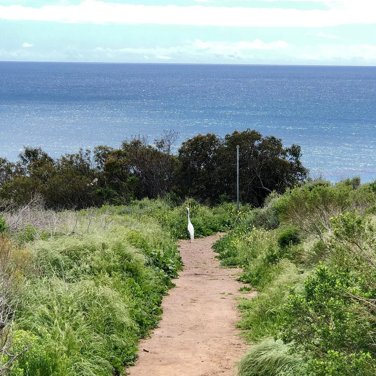 Malibu Bluffs Park