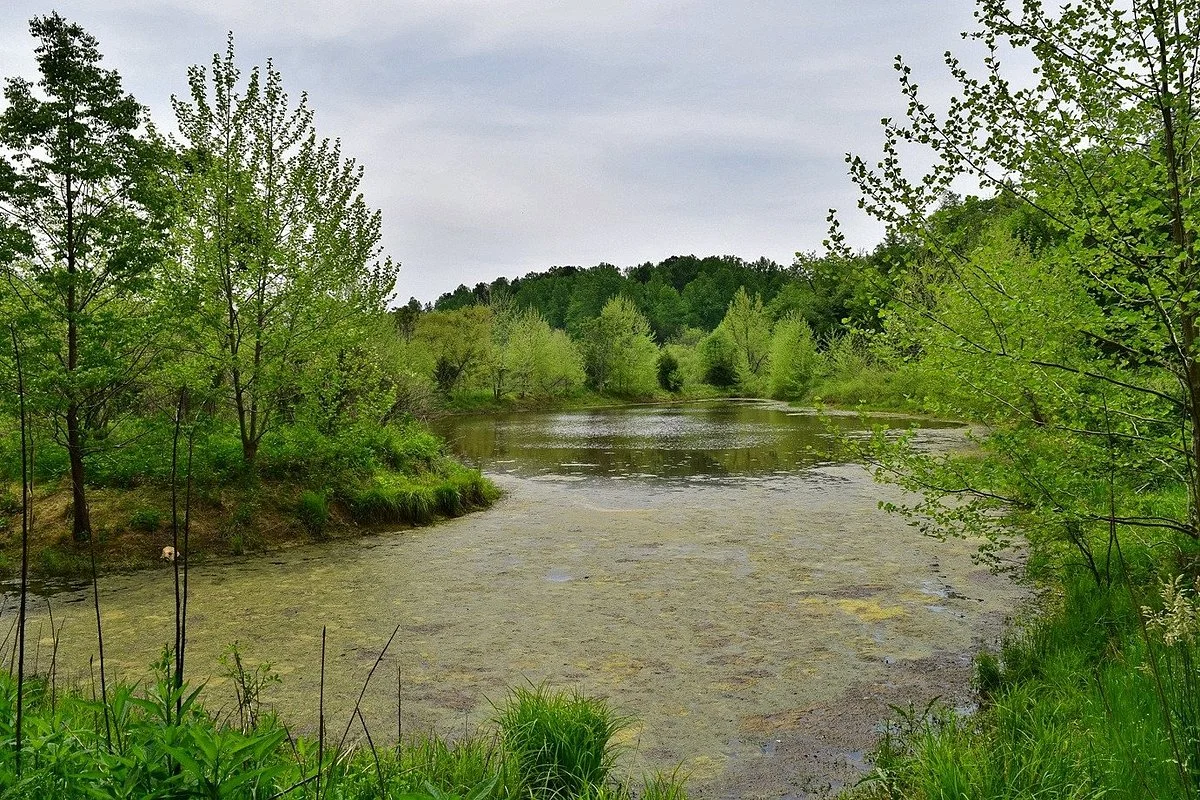 Brumley Forest Nature Preserve