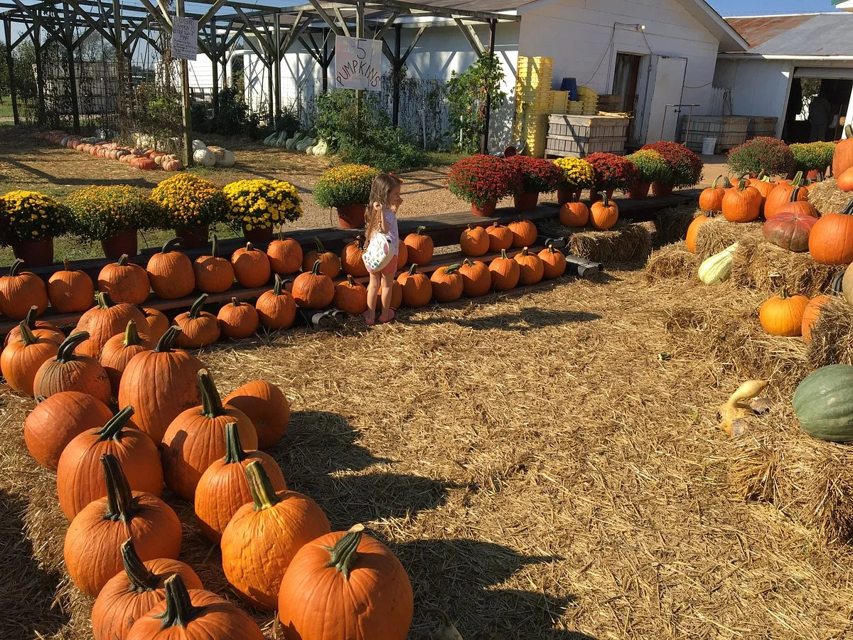 Isom's Orchard