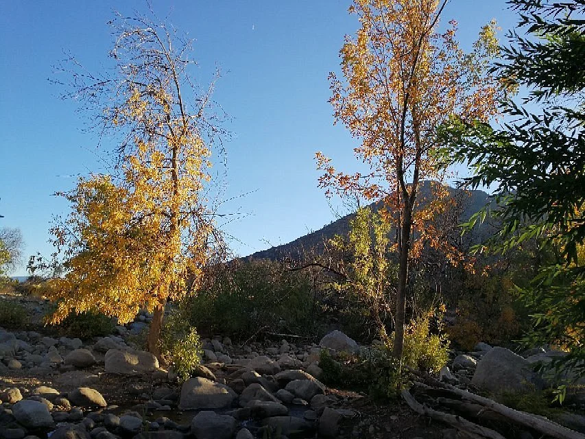 Whiskey Flat Trail