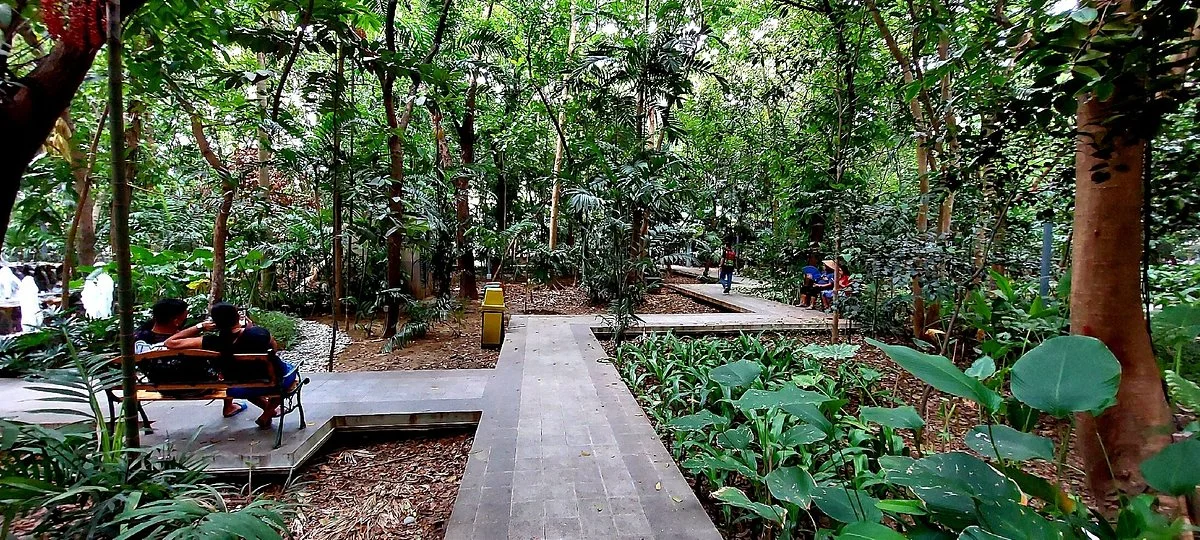 Arroceros Forest Park