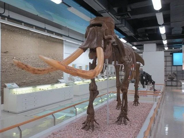 Akita Prefecture Museum