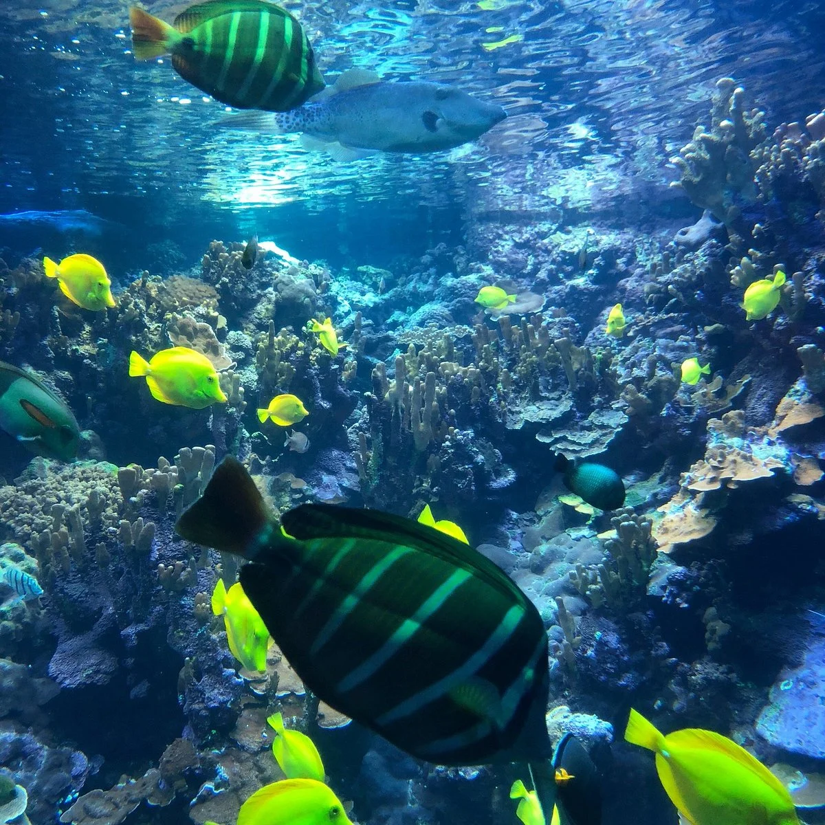 Ocean Science Discovery Center