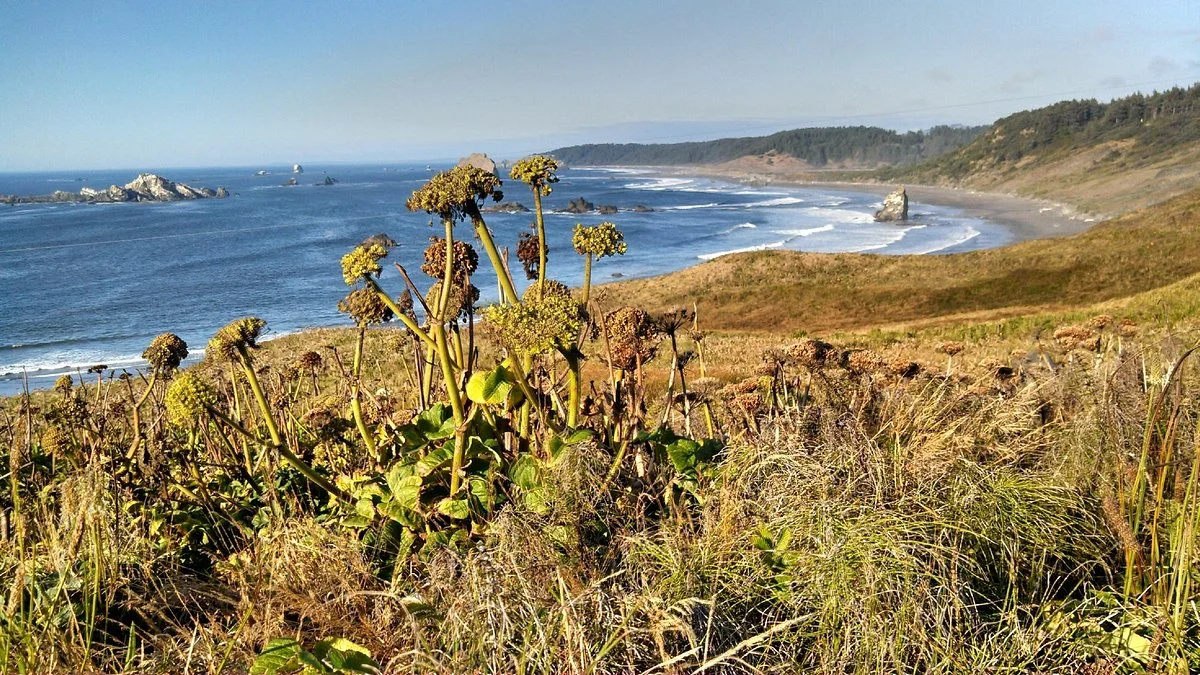 Cape Blanco State Park