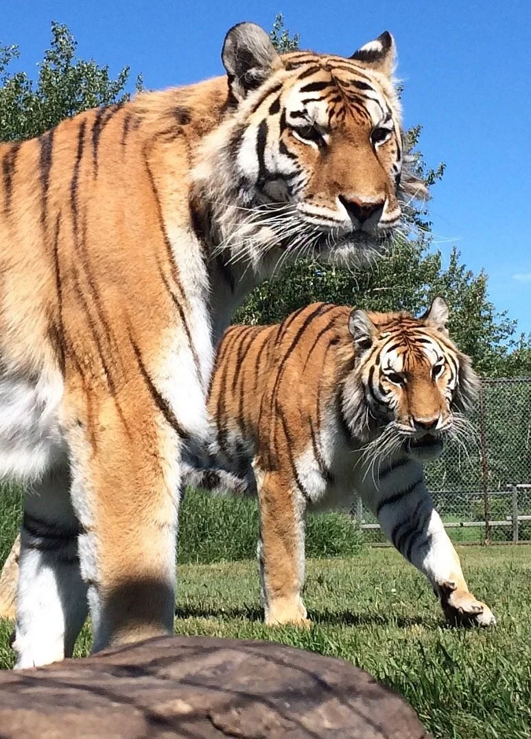 Discovery Wildlife Park