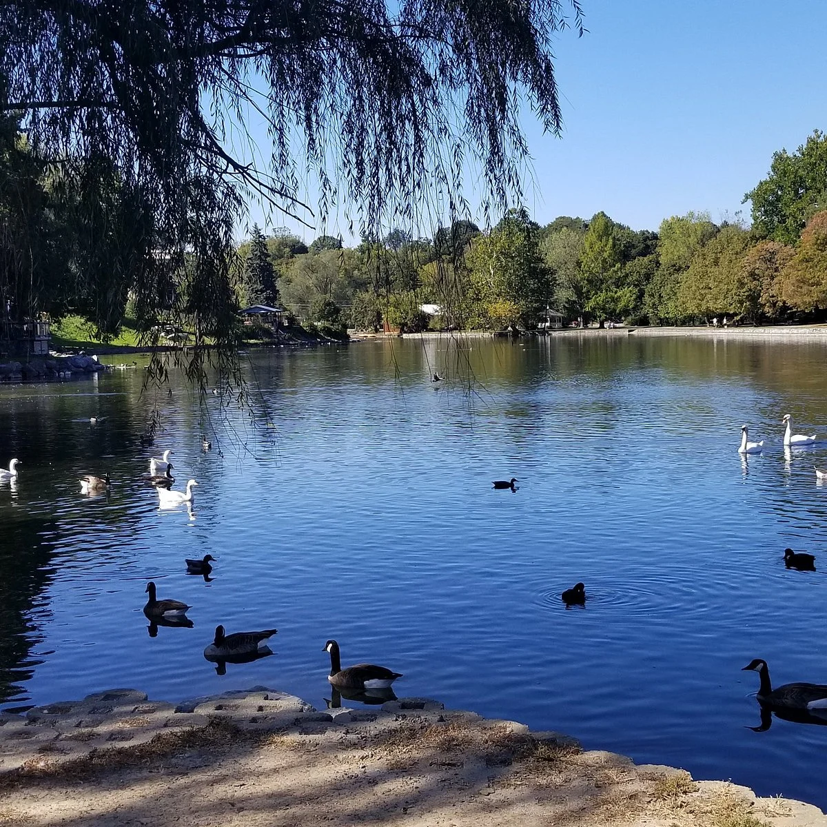 Children's Lake
