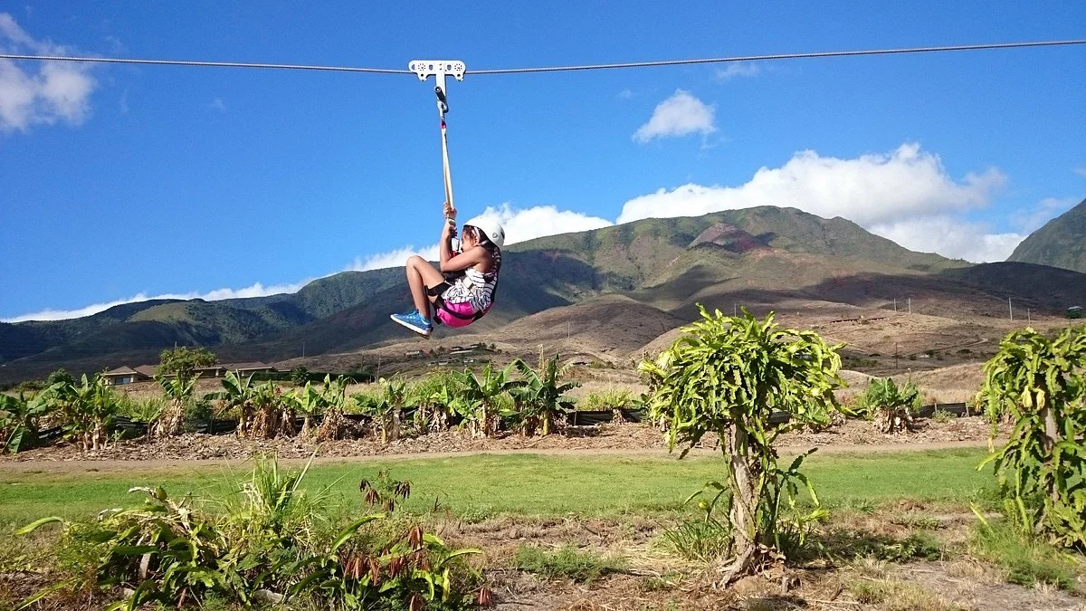 Maui Dragon Fruit Farm