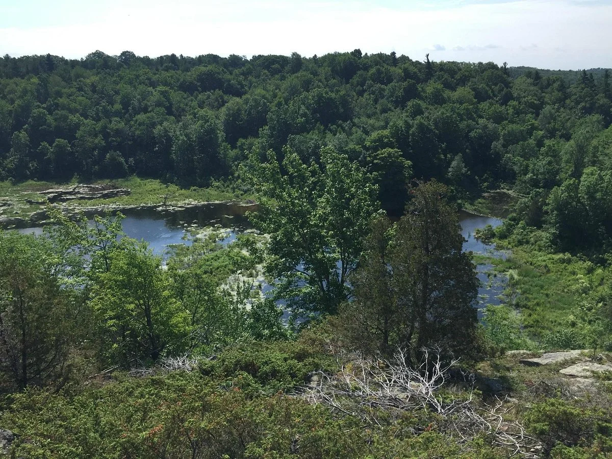 Marble Rock Conservation Area